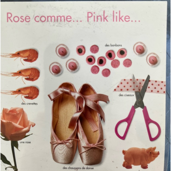 Other - New Post Card -French with pictures and French words of pink items.